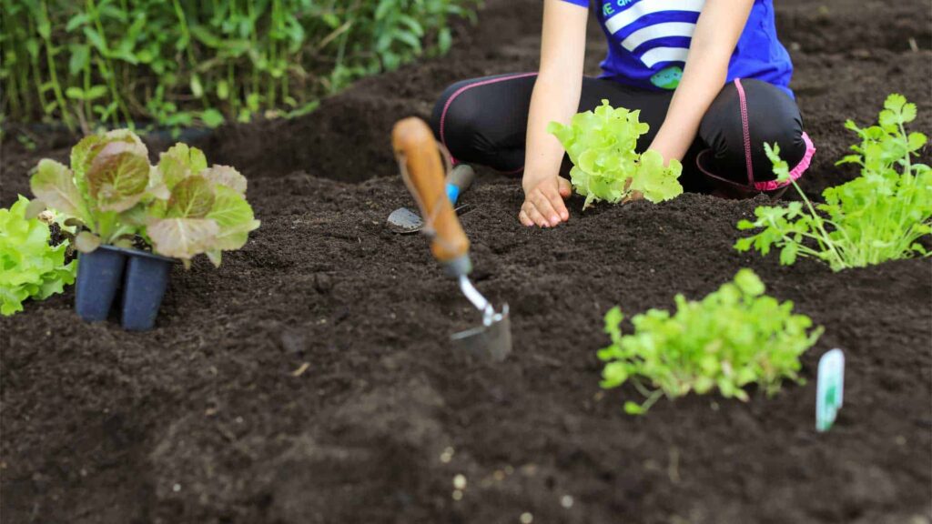 5 plantes miracle pour un potager résistant aux parasites