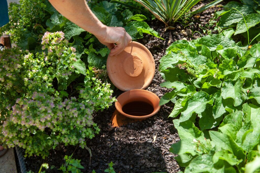 oyas-potager-sans-arrosage