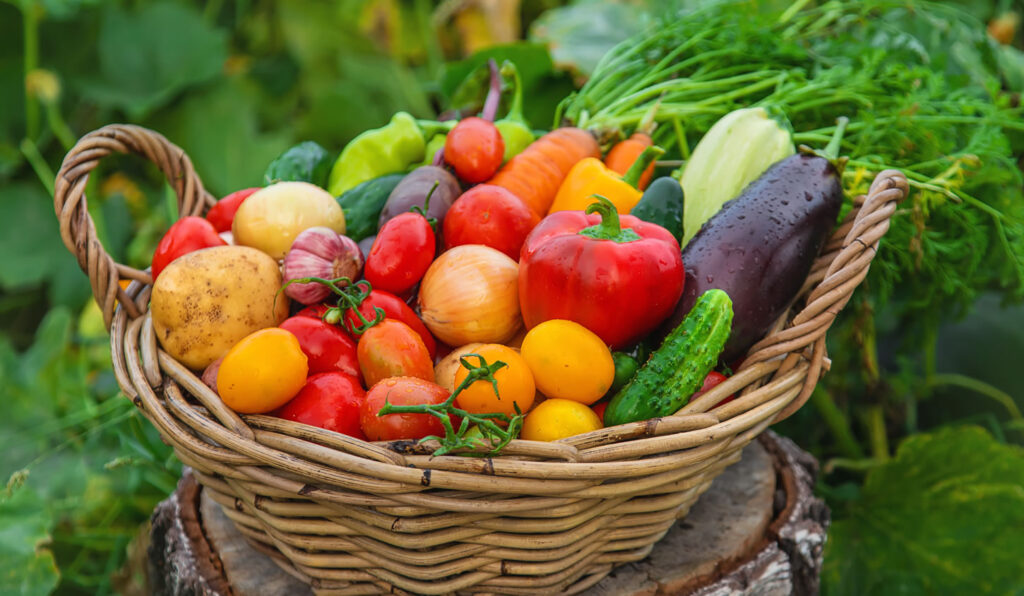 panier-legumes