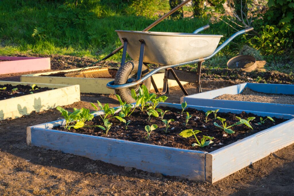 potager-sans-arrosage