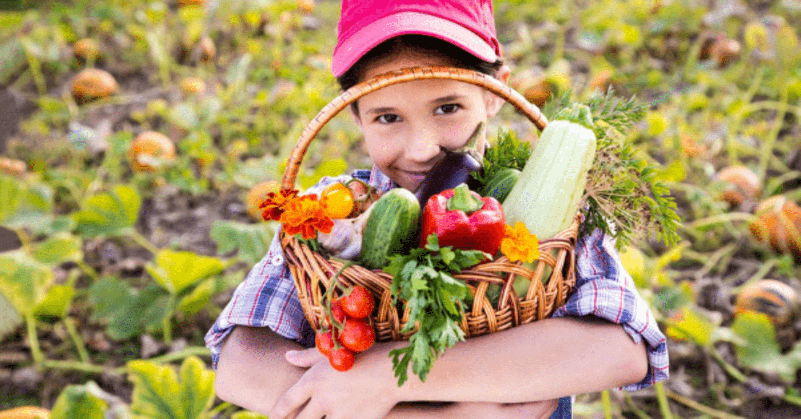 premier-potager-bio-fb