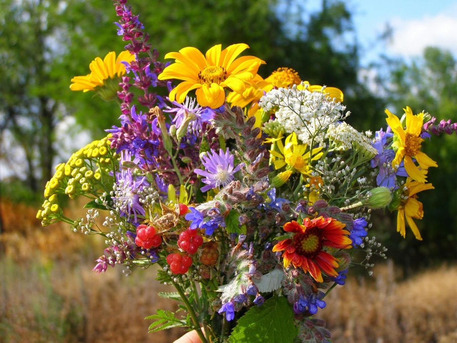 Comment créer un bouquet de fleurs du jardin pour la Fête des Mères