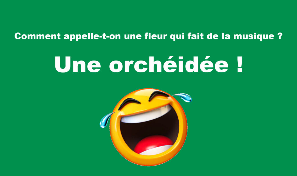 Top 50 des blagues courtes à se tordre de rire