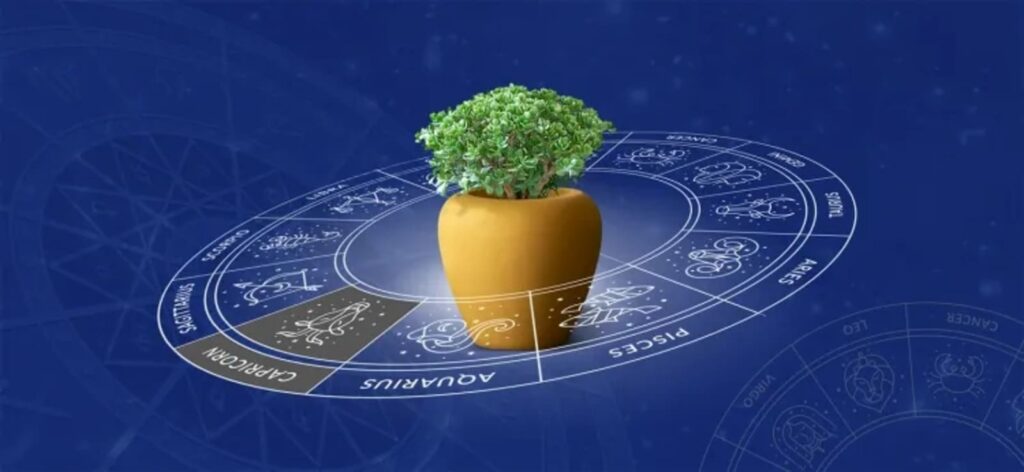 horoscope révèle les plantes parfaites à offrir pour la Fête des Mères