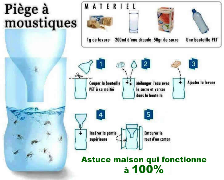 Comment ce piège à moustiques simple et efficace change la donne ? - Ma