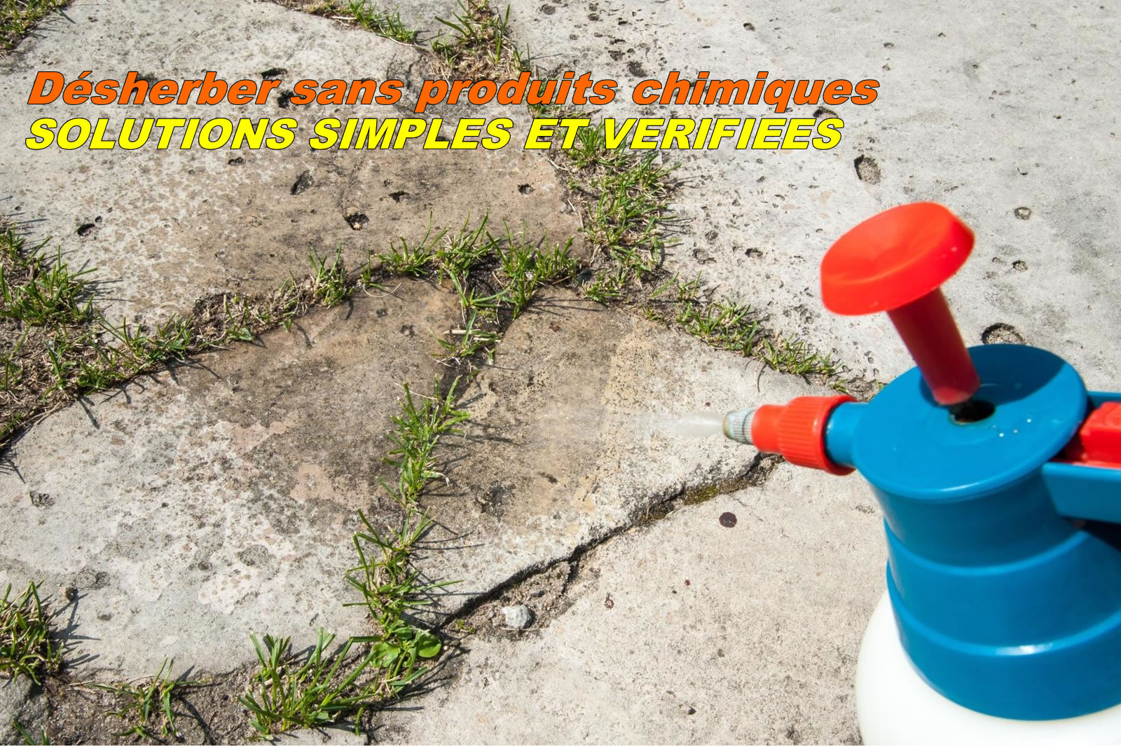 Désherber sans produits chimiques Solutions pour éviter la repousse des mauvaises herbes