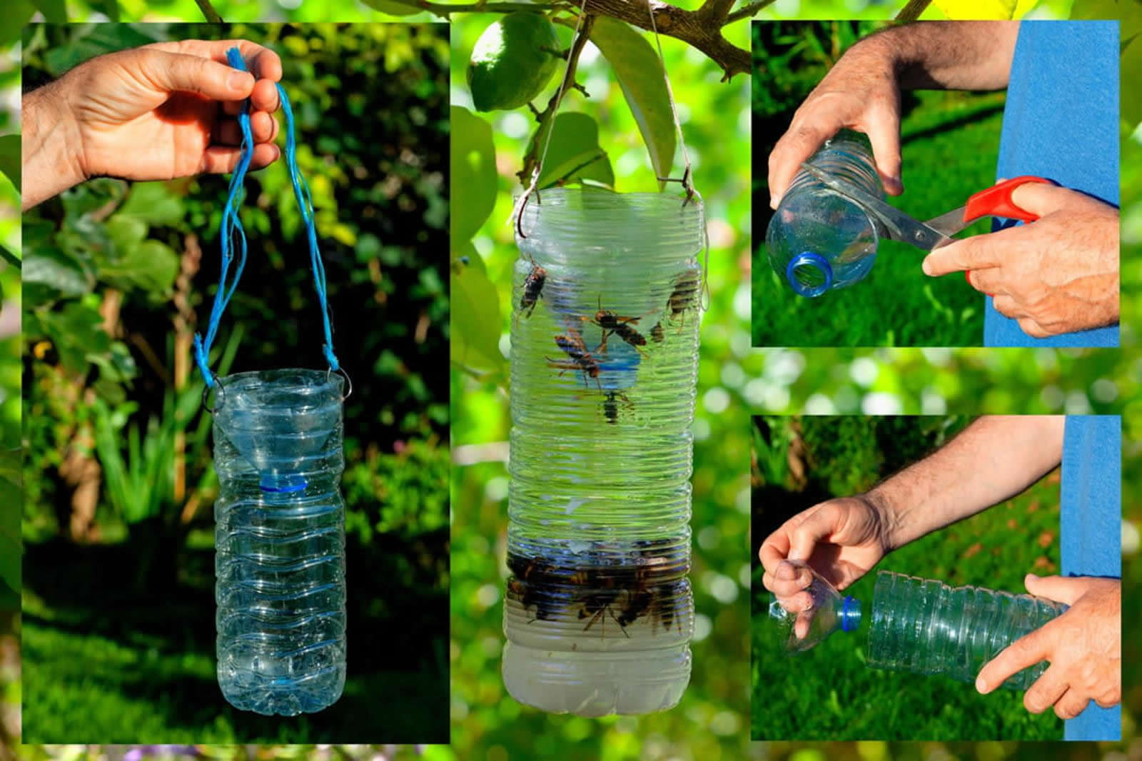 L'astuce imparable Utilisez une bouteille en plastique pour anéantir toutes les mouches de votre maison