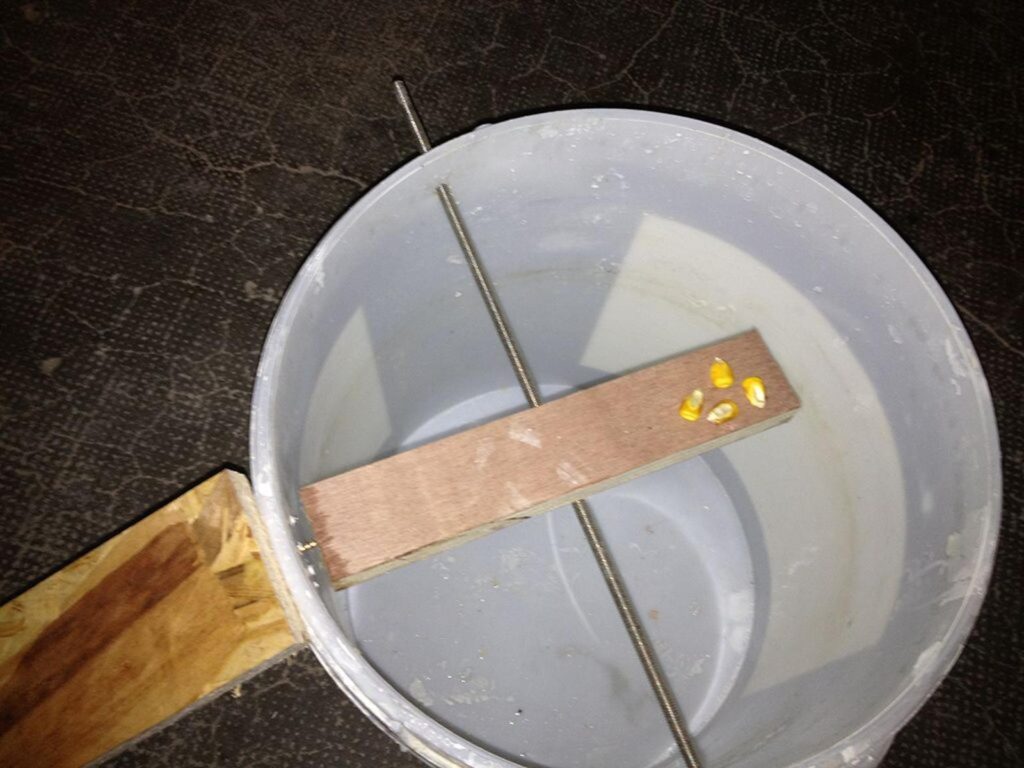 piège à rat
