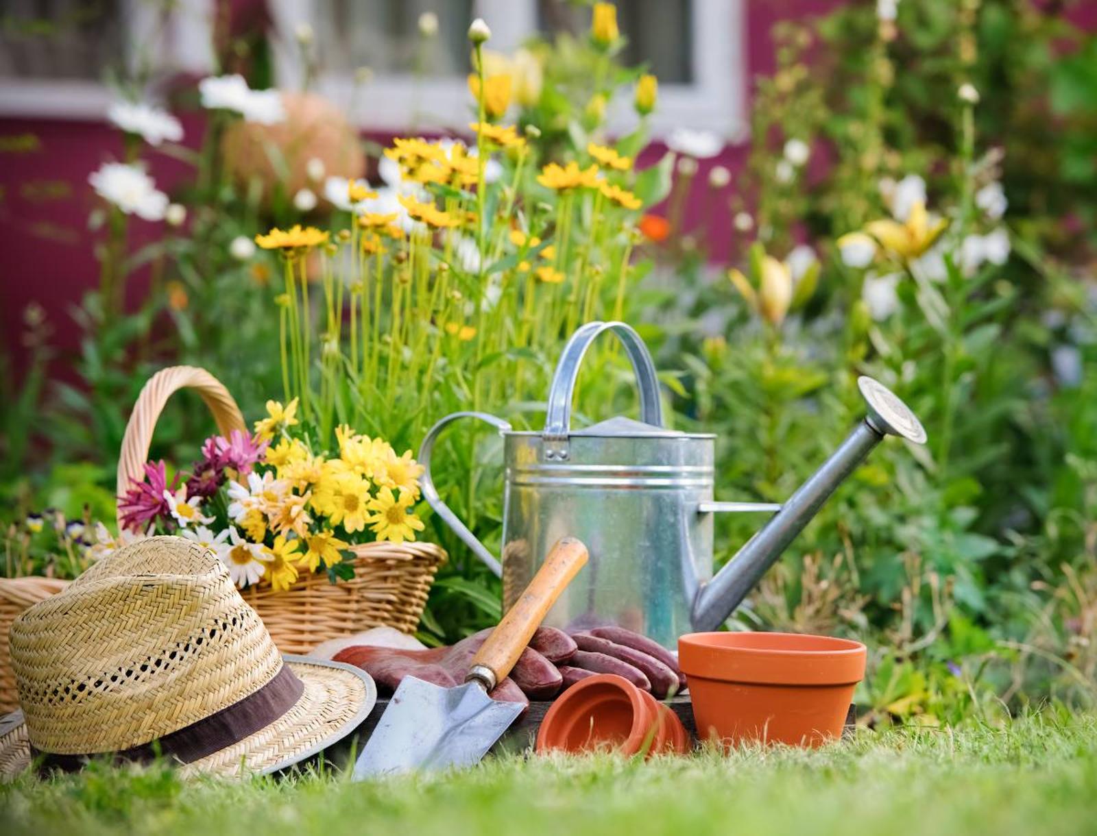 Que faire dans votre jardin en octobre