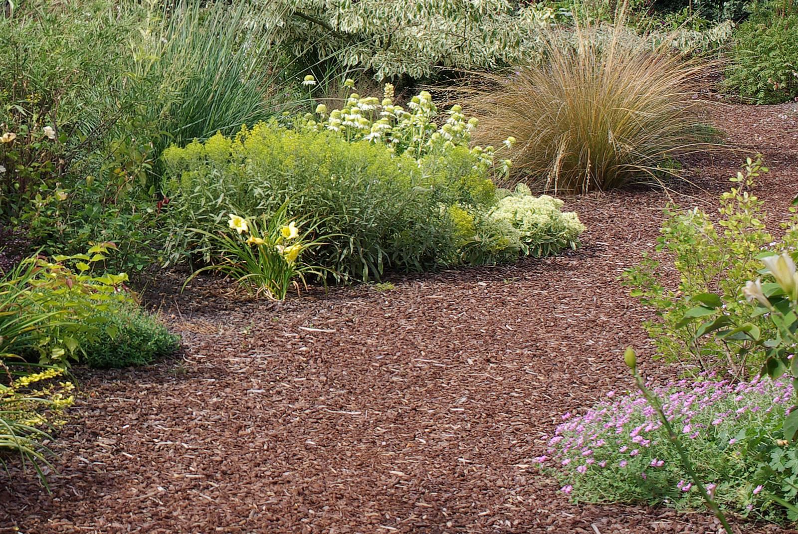 Saviez-vous que ce paillis peut transformer votre jardin cet automne