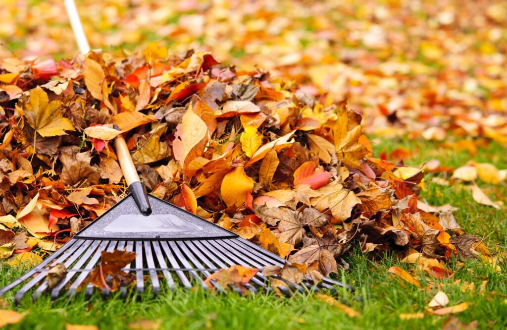 Transformez vos feuilles mortes en or noir
