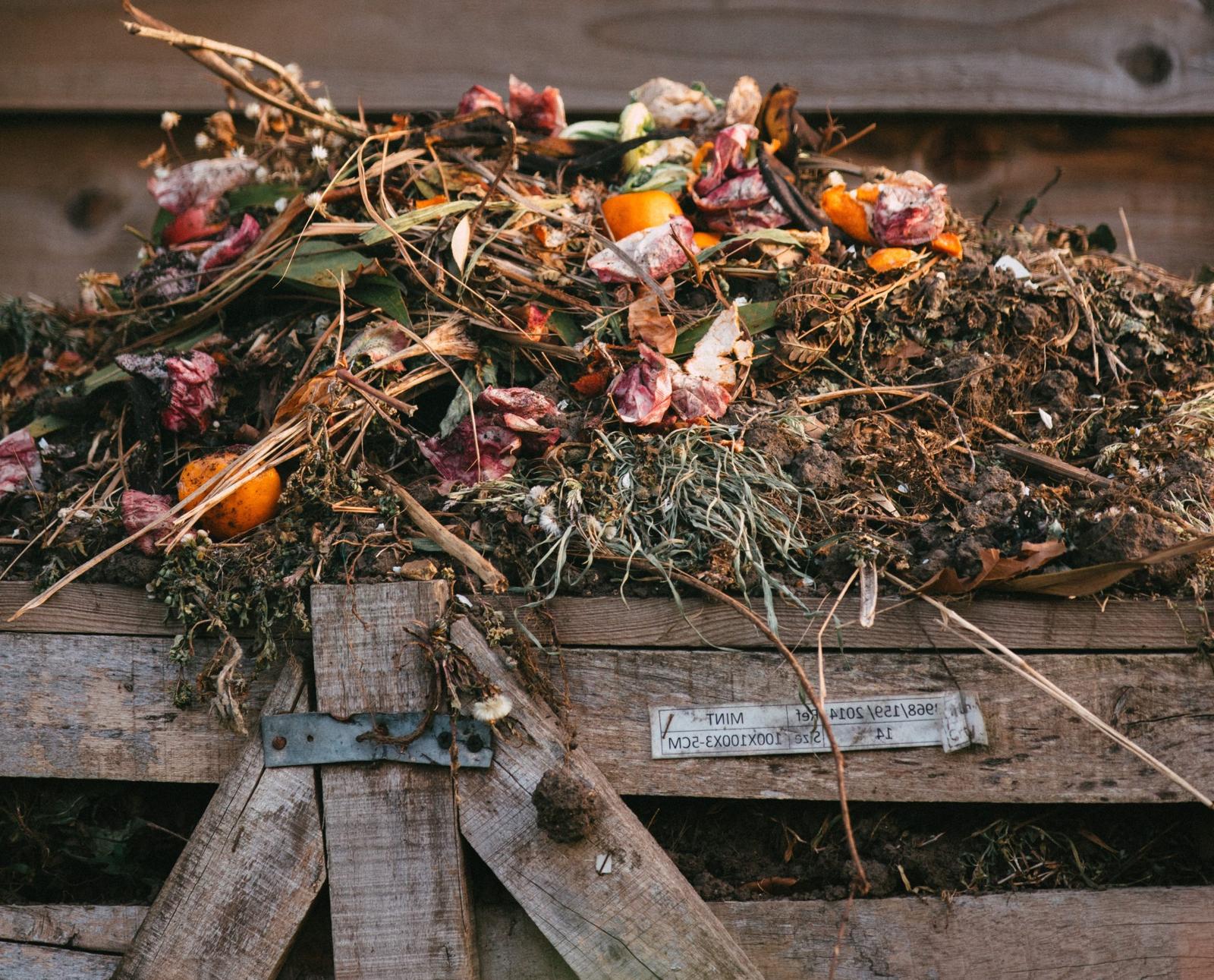 efficacité de votre compost avec ces additifs