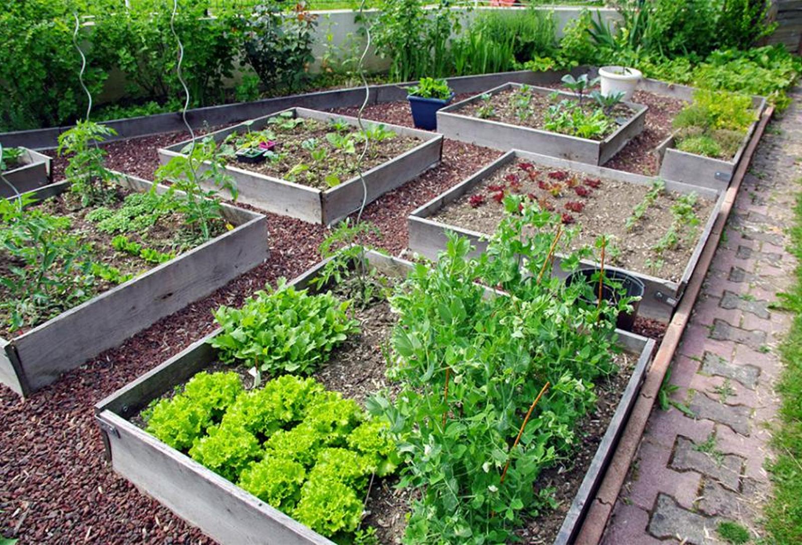 potager en carré