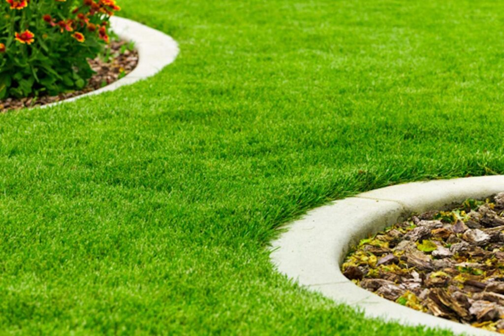 Les secrets pour une pelouse parfaite