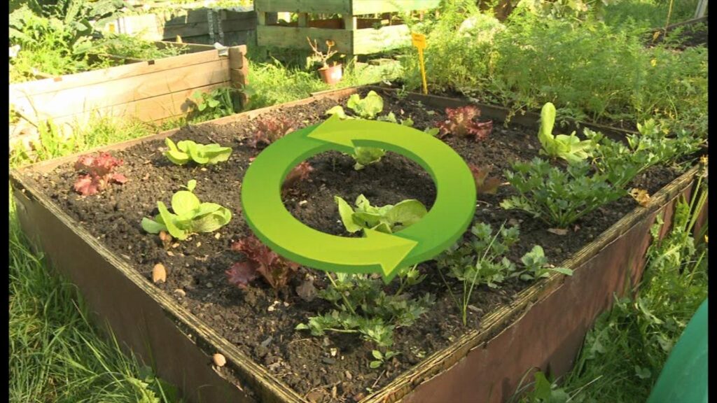 L'importance de la rotation des cultures planifiez votre potager pour une terre fertile année après année