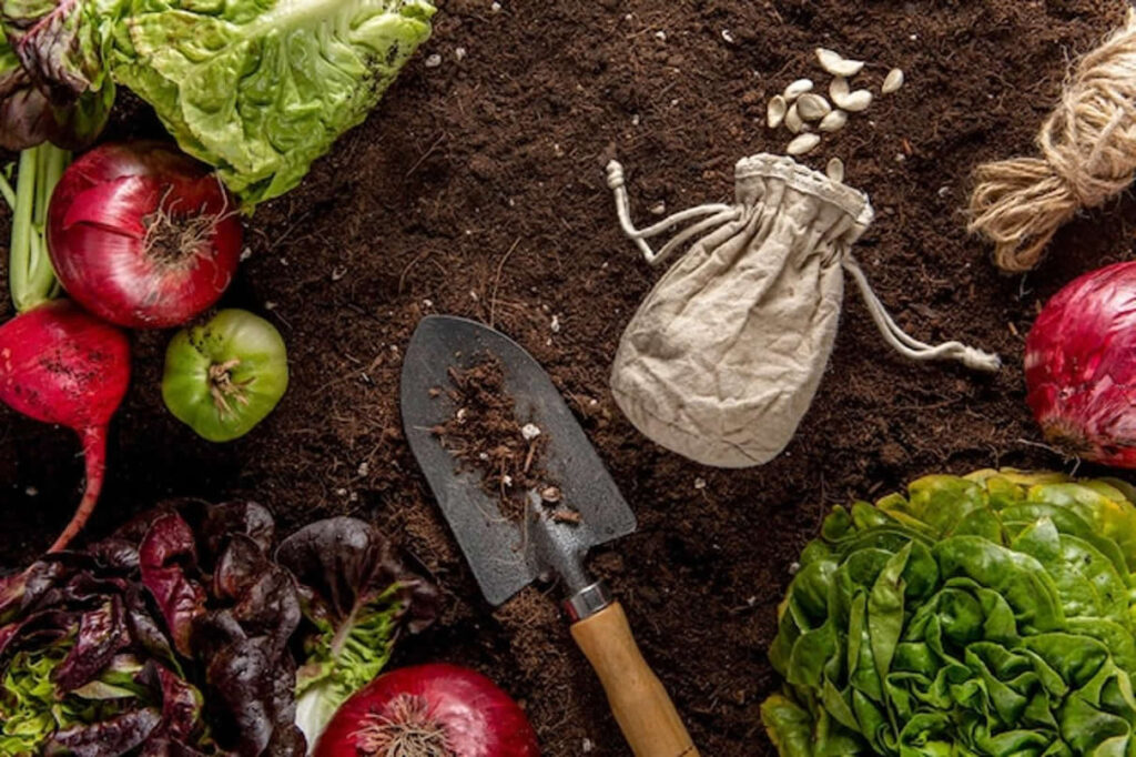 Permaculture les innovations qui transformeront votre jardin cette année