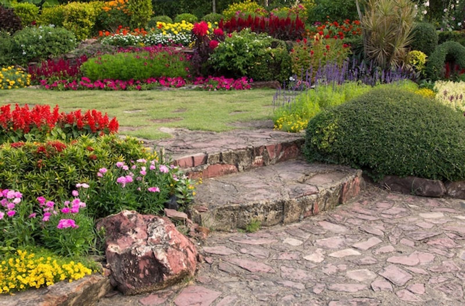 Comment créer un jardin luxuriant avec zéro dépense