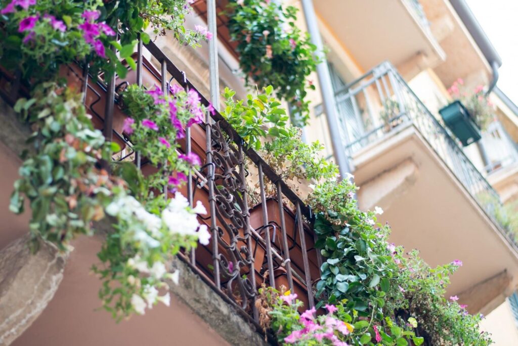 Fleurissez votre balcon tout l'été avec ces 4 plantes idéales