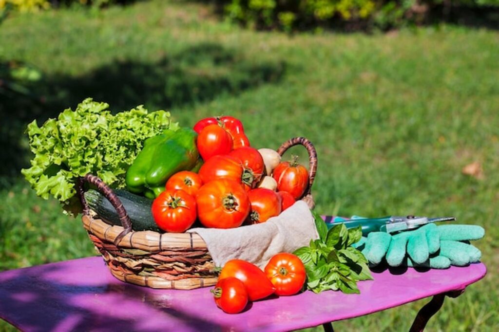 Les légumes nutritifs à privilégier pour un jardin sain