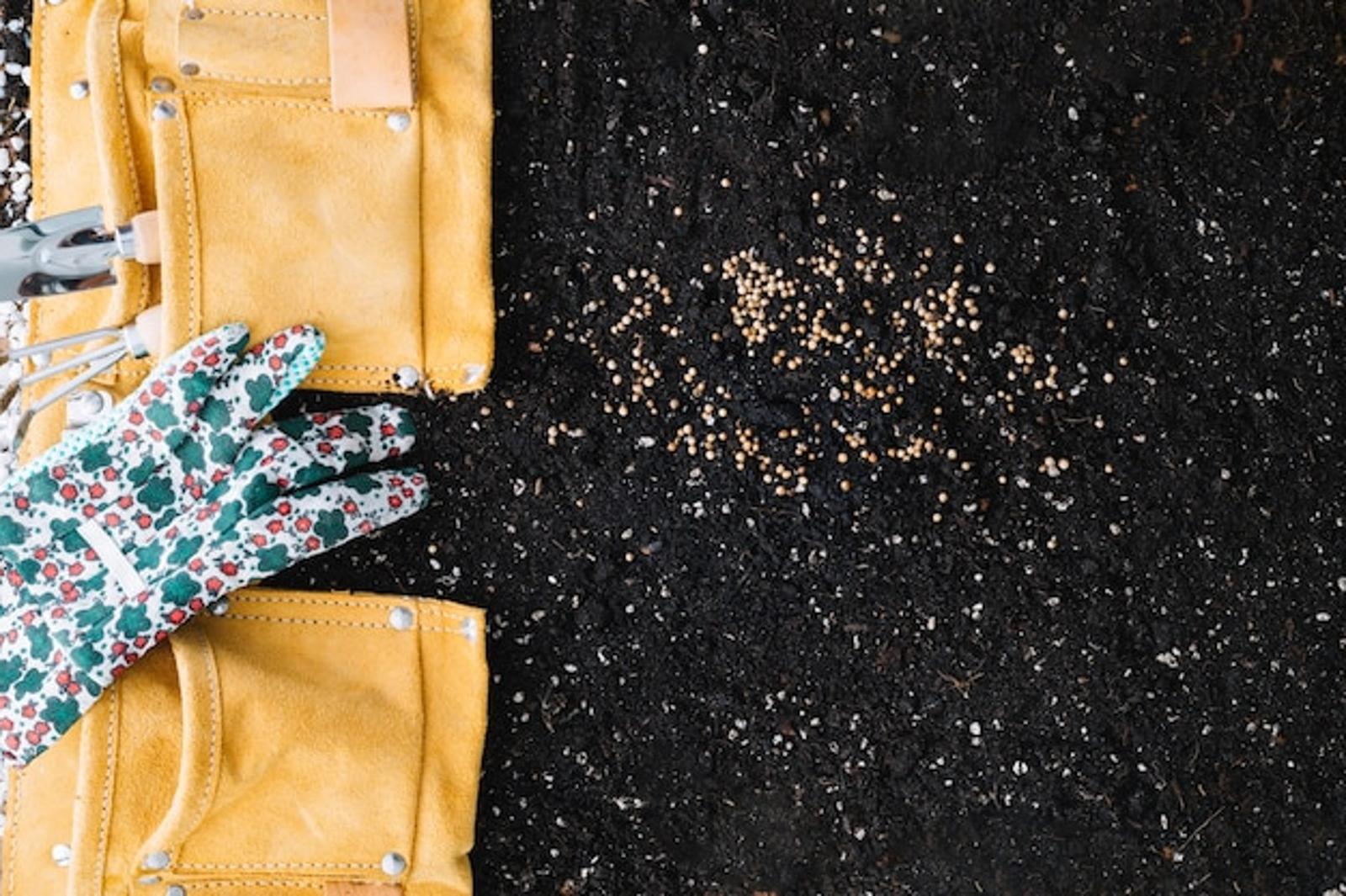 Les meilleurs engrais naturels pour vos légumes