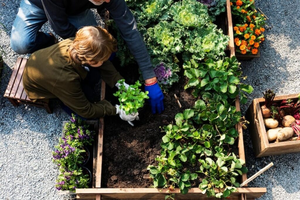 Potager en carrés 5 conseils essentiels pour récolter vos légumes