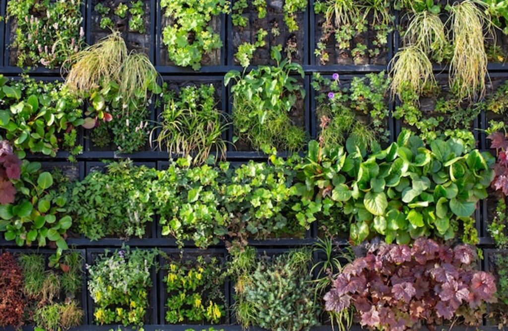 Réinventez votre espace avec le jardinage vertical