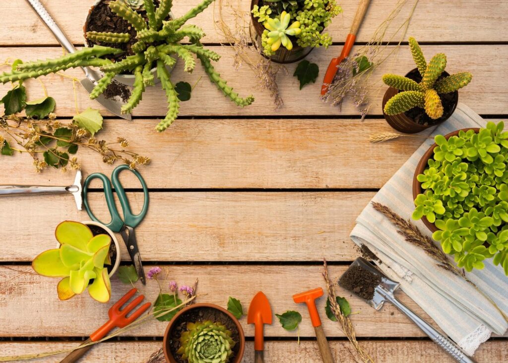 ecosysteme jardin