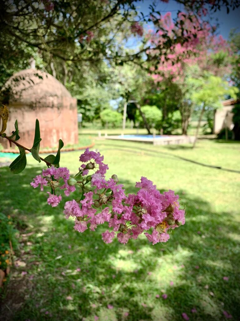 Avril au jardin 10 erreurs fatales à éviter à tout prix